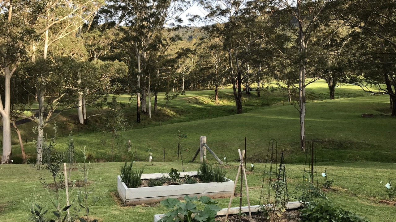 Photo of Outdoor in Kangaroo Valley