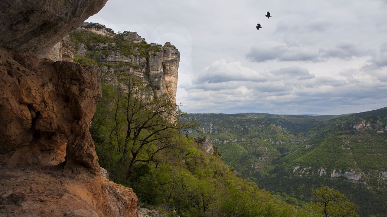 Photo of Outdoor in La Roque-Sainte-Marguerite