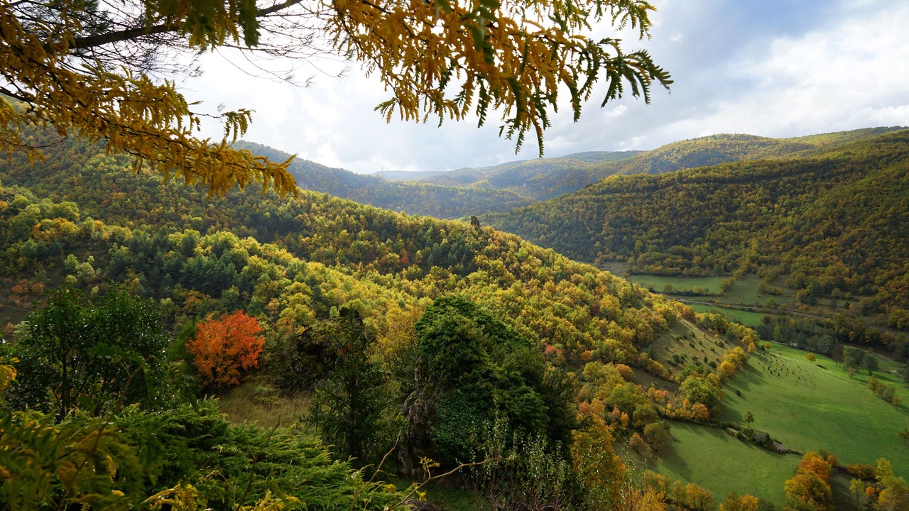 Photo of Outdoor in La Roque-Sainte-Marguerite