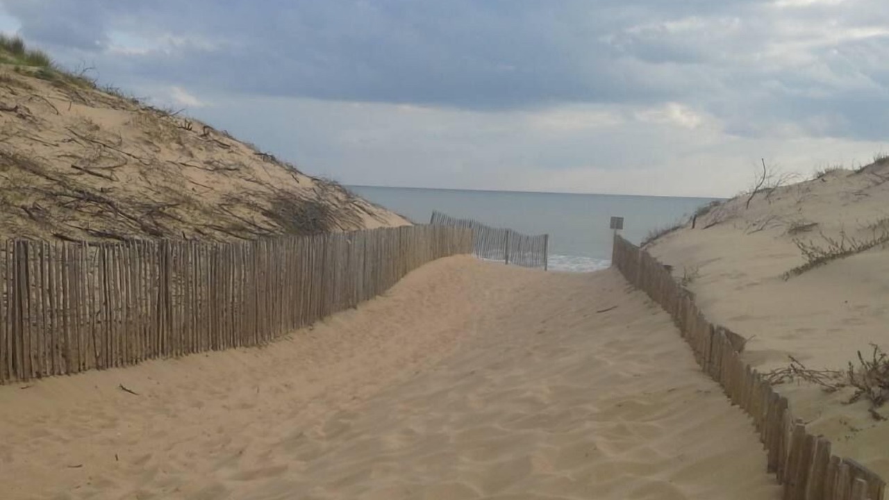 Photo of Others in Longeville-sur-Mer