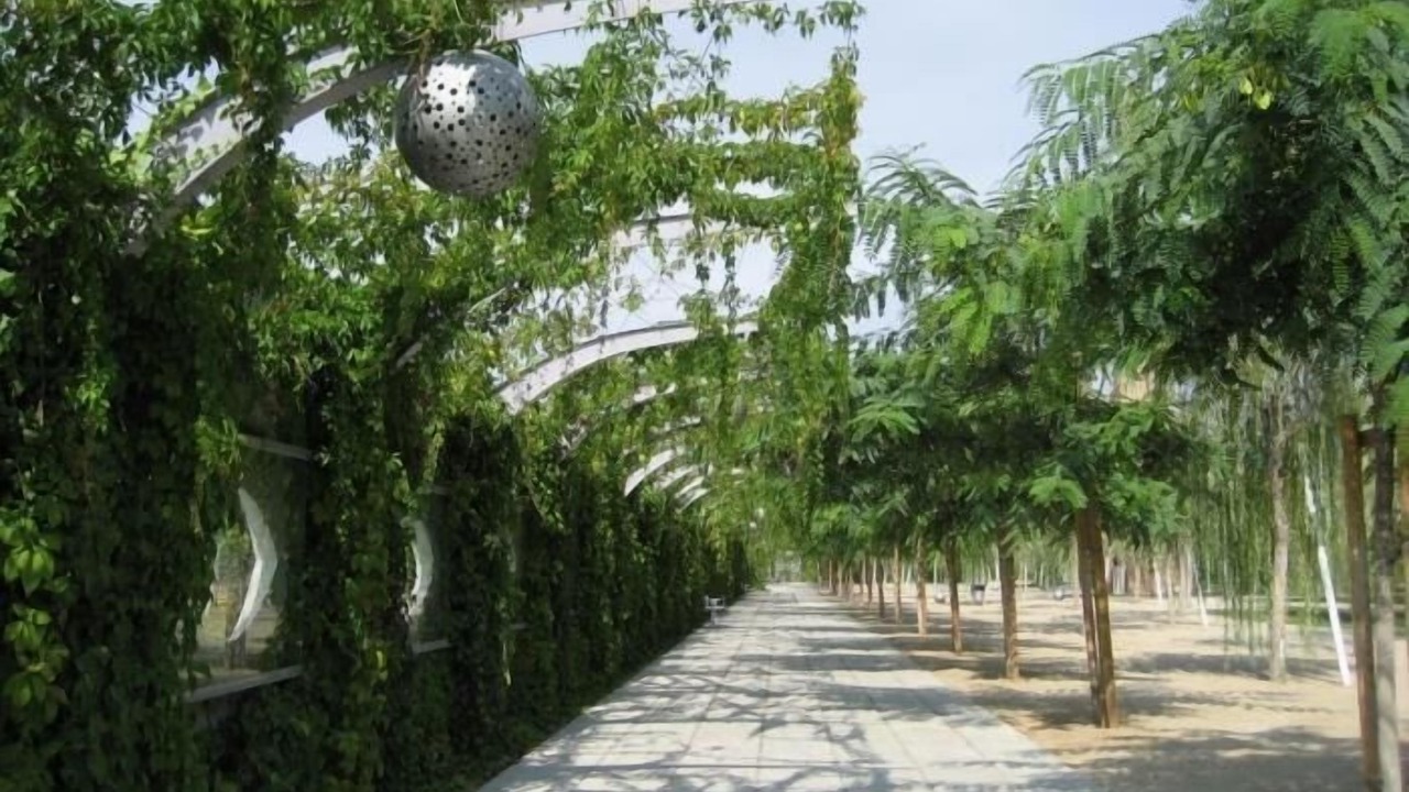Photo of Outdoor in Poblenou