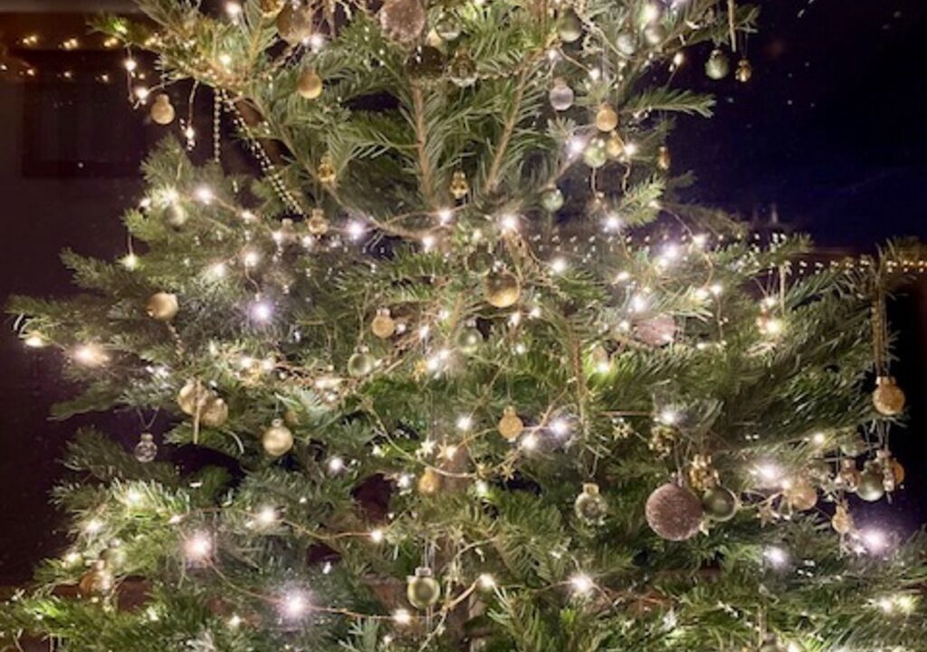 Photo of Others in Les Allues