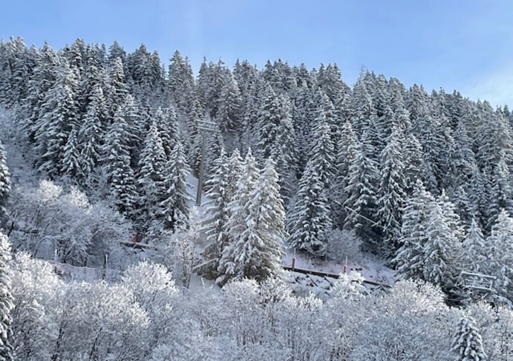 Photo of Others in Les Allues