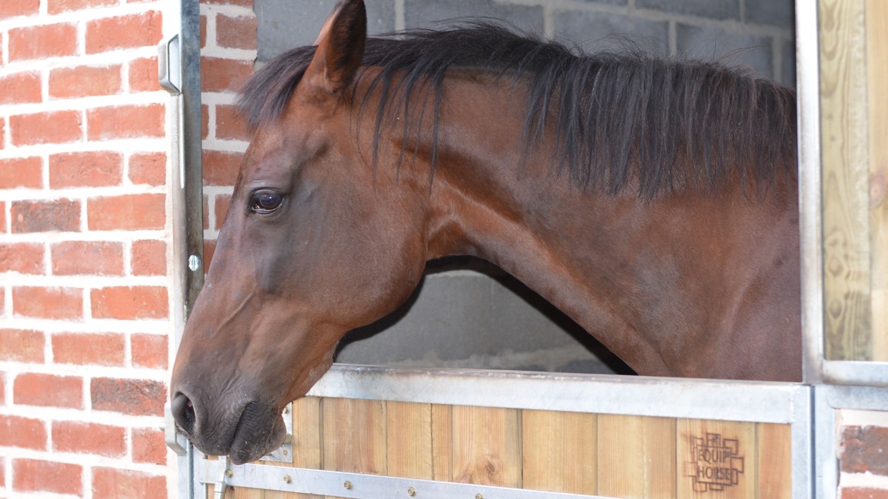 Photo of Outdoor in Monchy-au-Bois