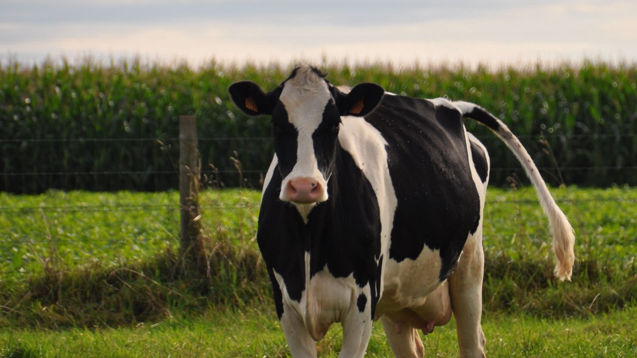 Photo of Outdoor in Monchy-au-Bois
