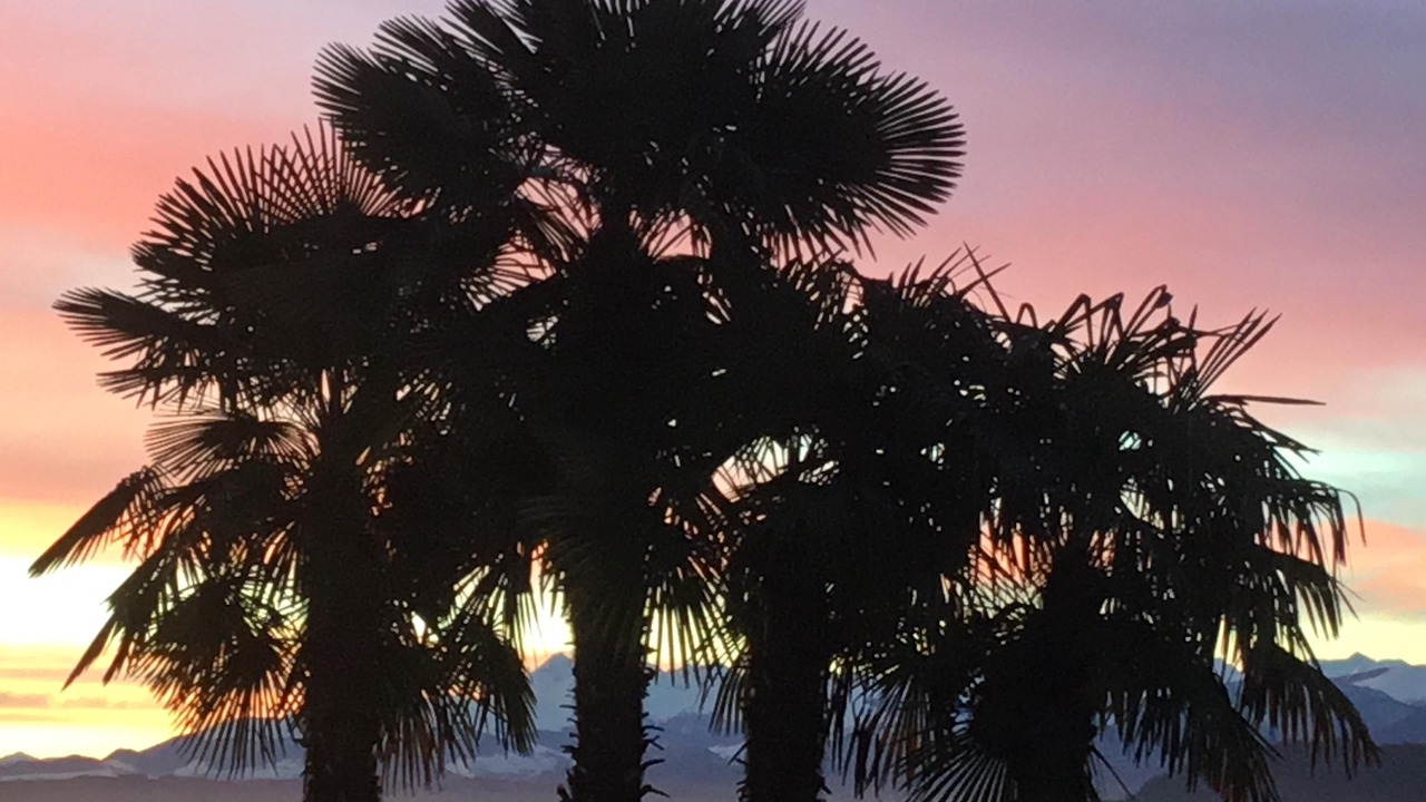 Photo of Outdoor in Centre Ville