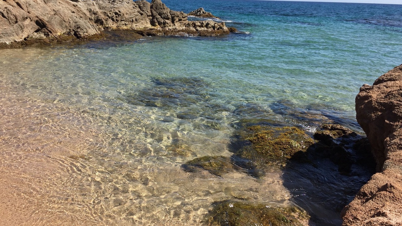 Photo of Others in Lloret de Mar