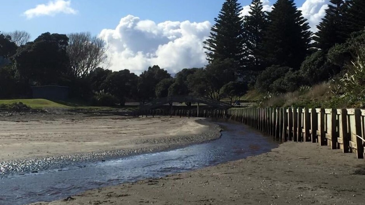 Photo of Others in Raumati Beach