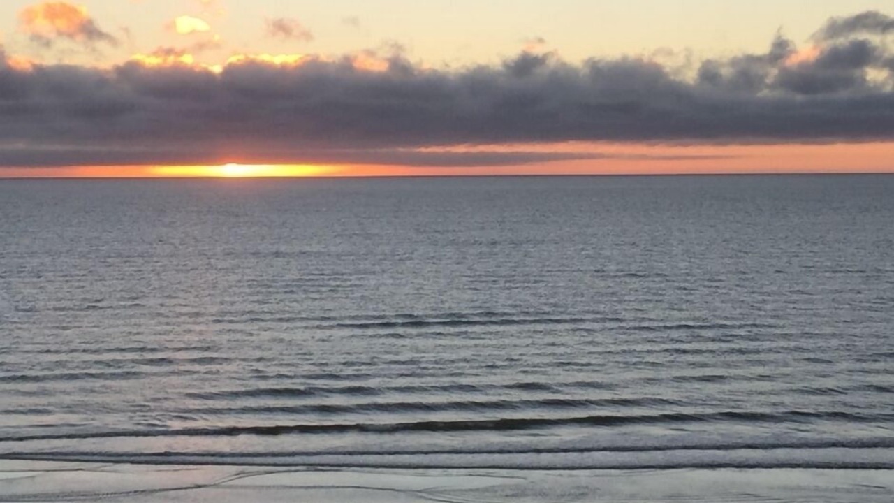 Photo of Others in Raumati Beach