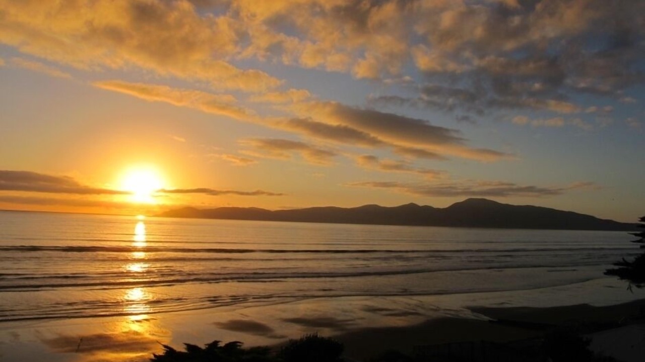Photo of Others in Raumati Beach