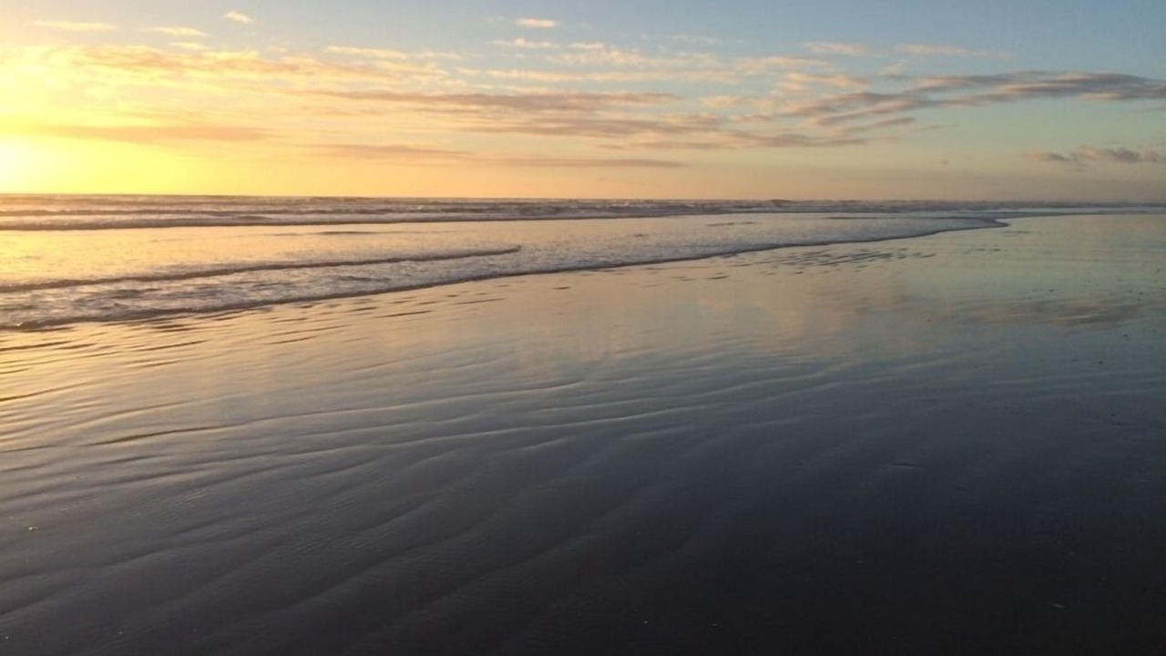 Photo of Others in Foxton Beach