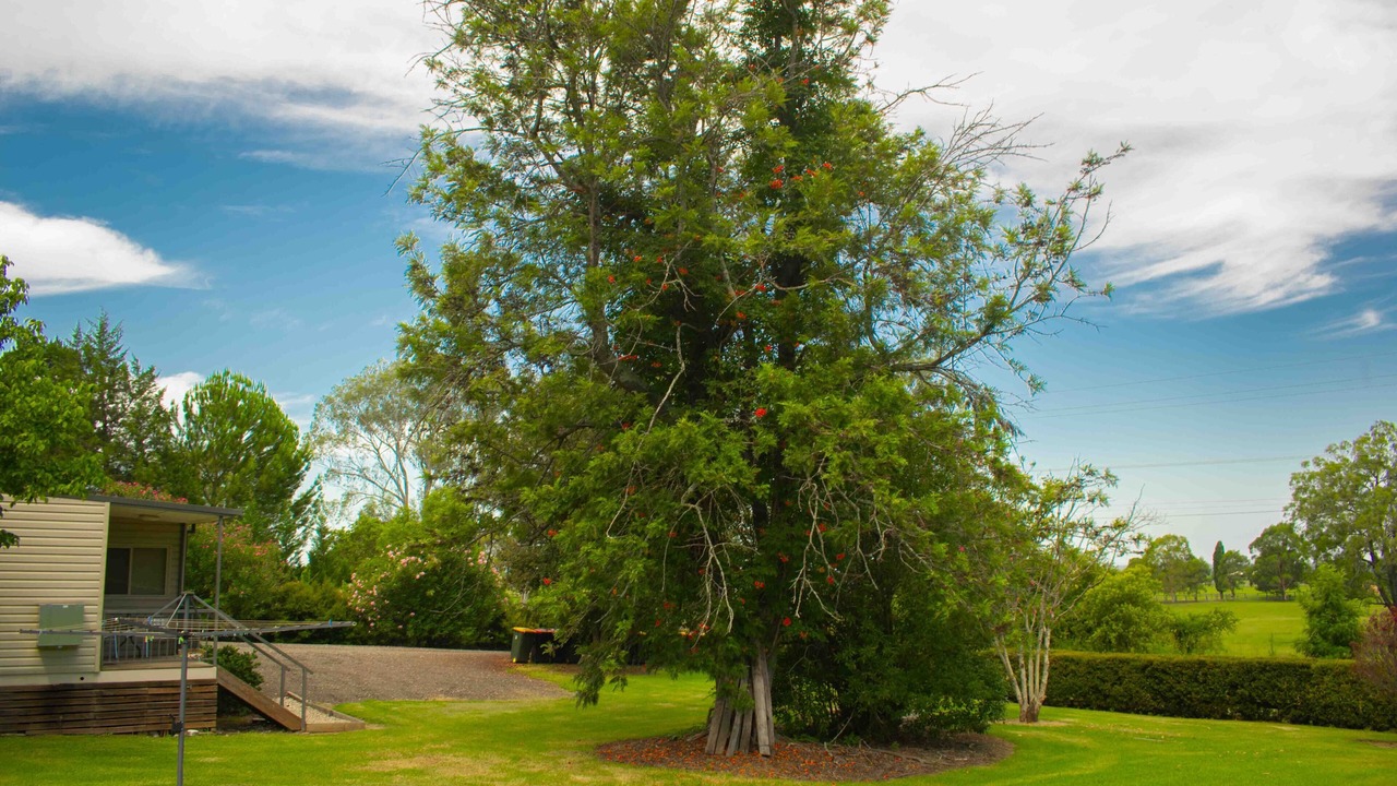Photo of Outdoor in Freemans Reach