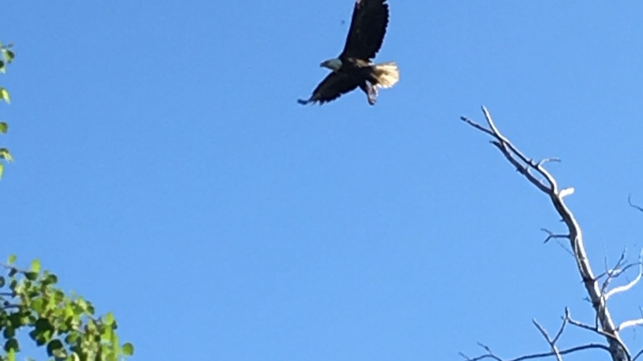 Photo of Others in Eagle River