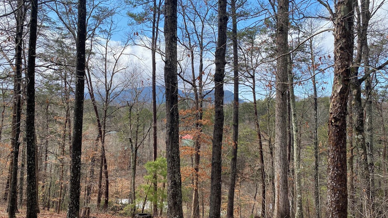 Photo of Others in Sevierville