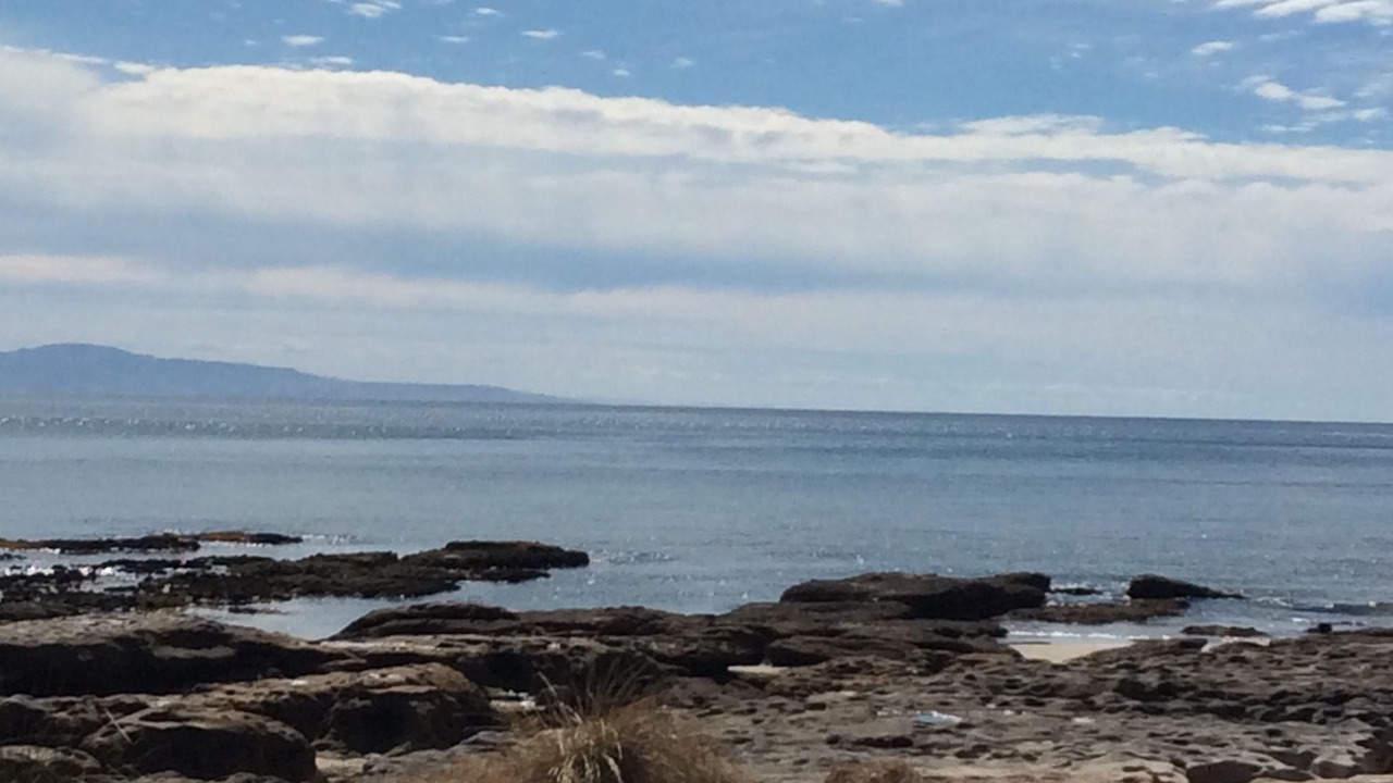 Photo of Others in Currarong