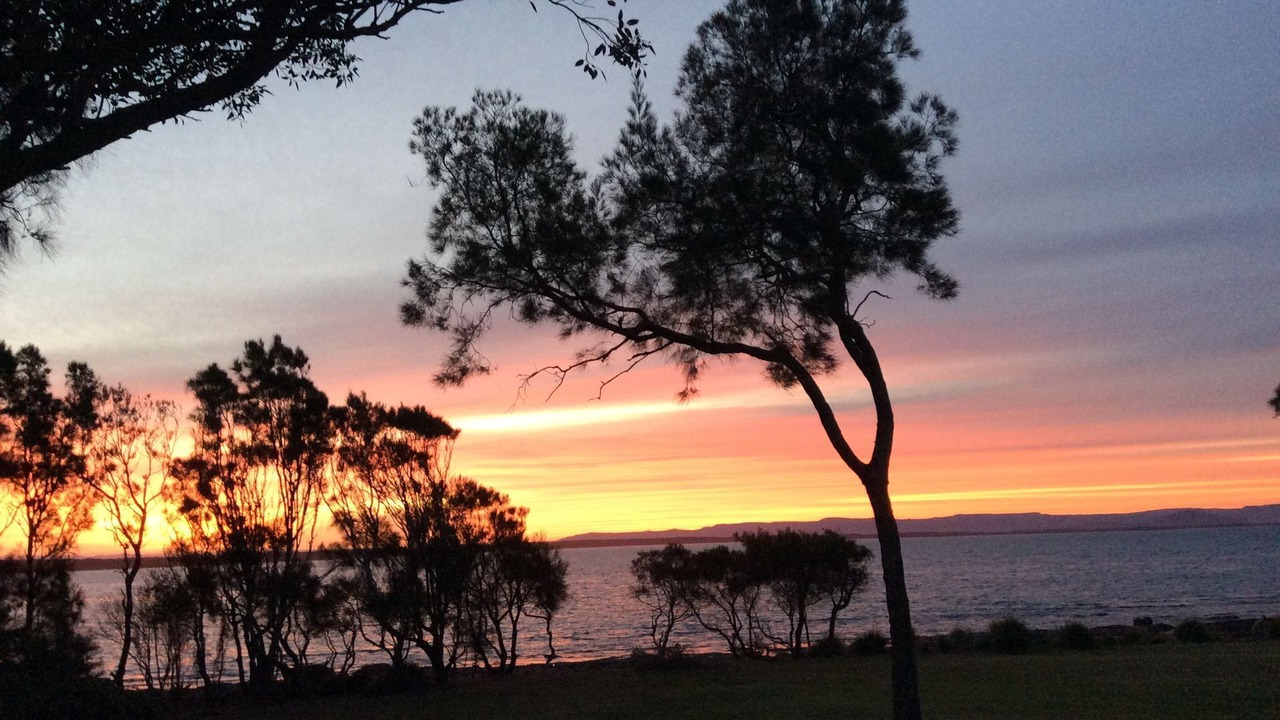 Photo of Others in Currarong