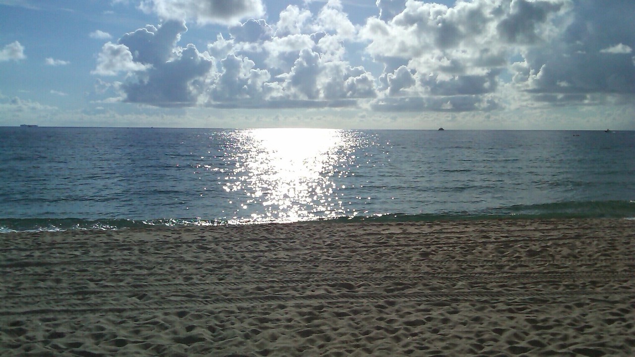 Photo of Others in Dolphin Isles