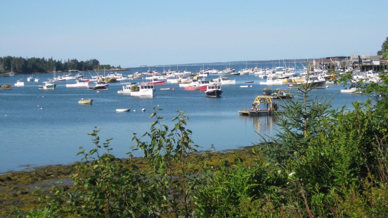 Photo of Others in Friendship