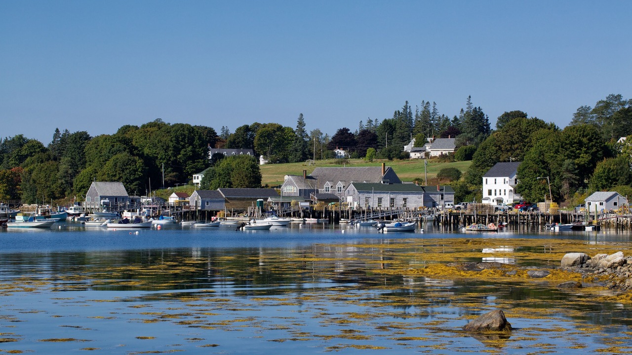 Photo of Others in Friendship