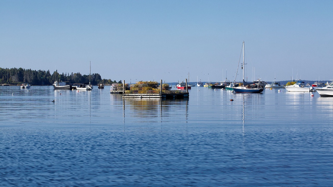 Photo of Others in Friendship