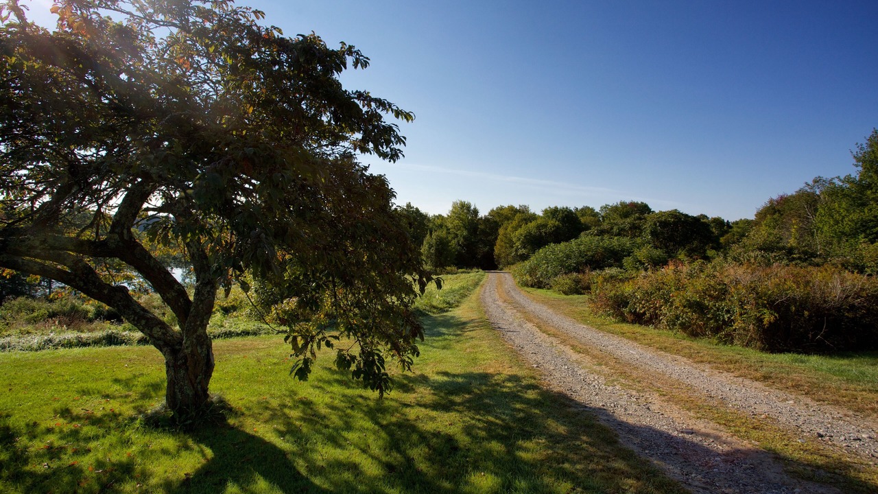 Photo of Others in Friendship