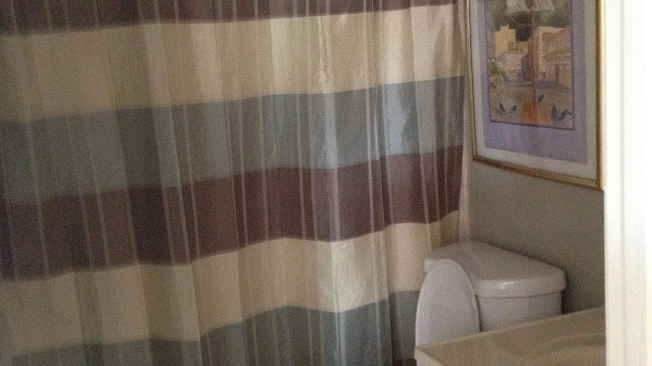 Photo of Bathroom in Horseshoe Lake