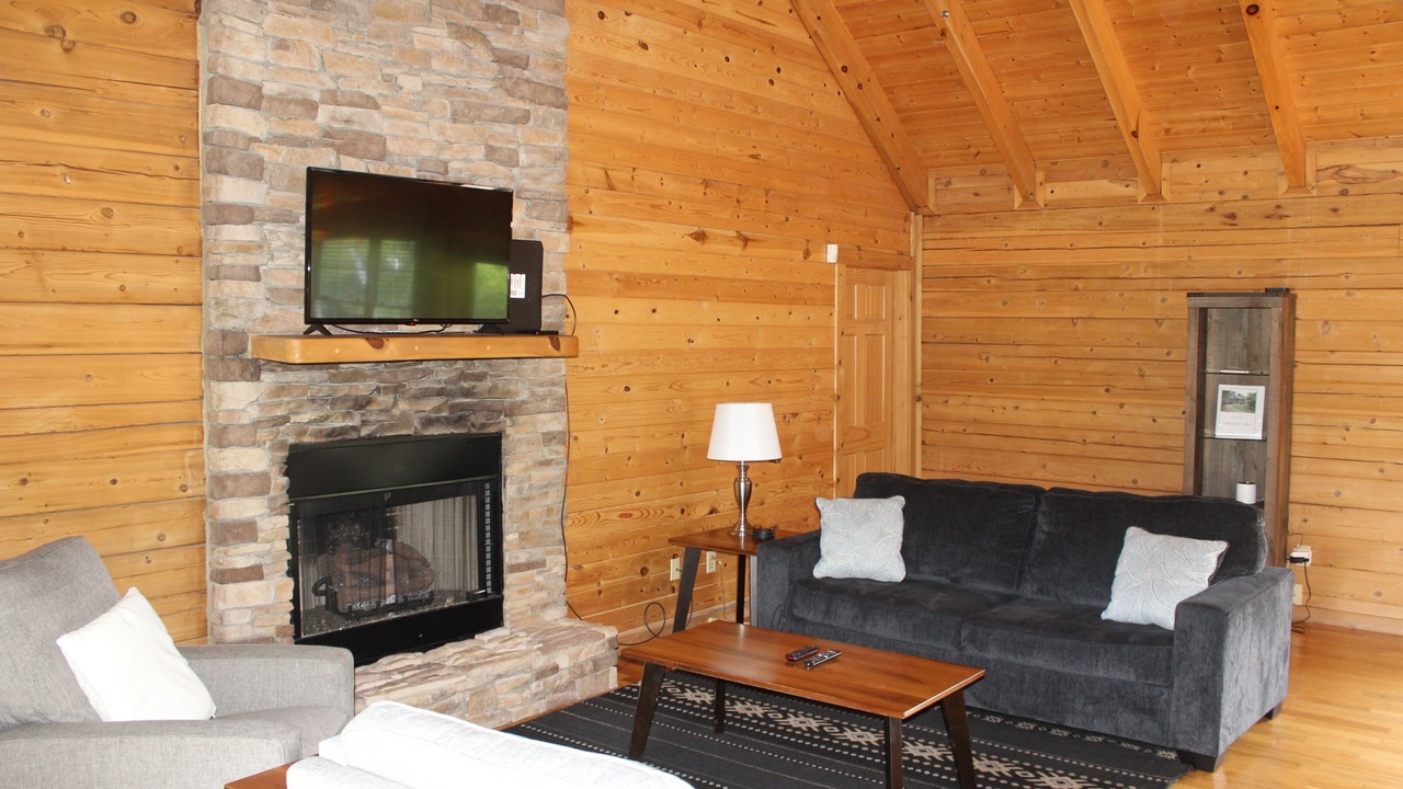 Photo of Livingroom in Lee's Summit