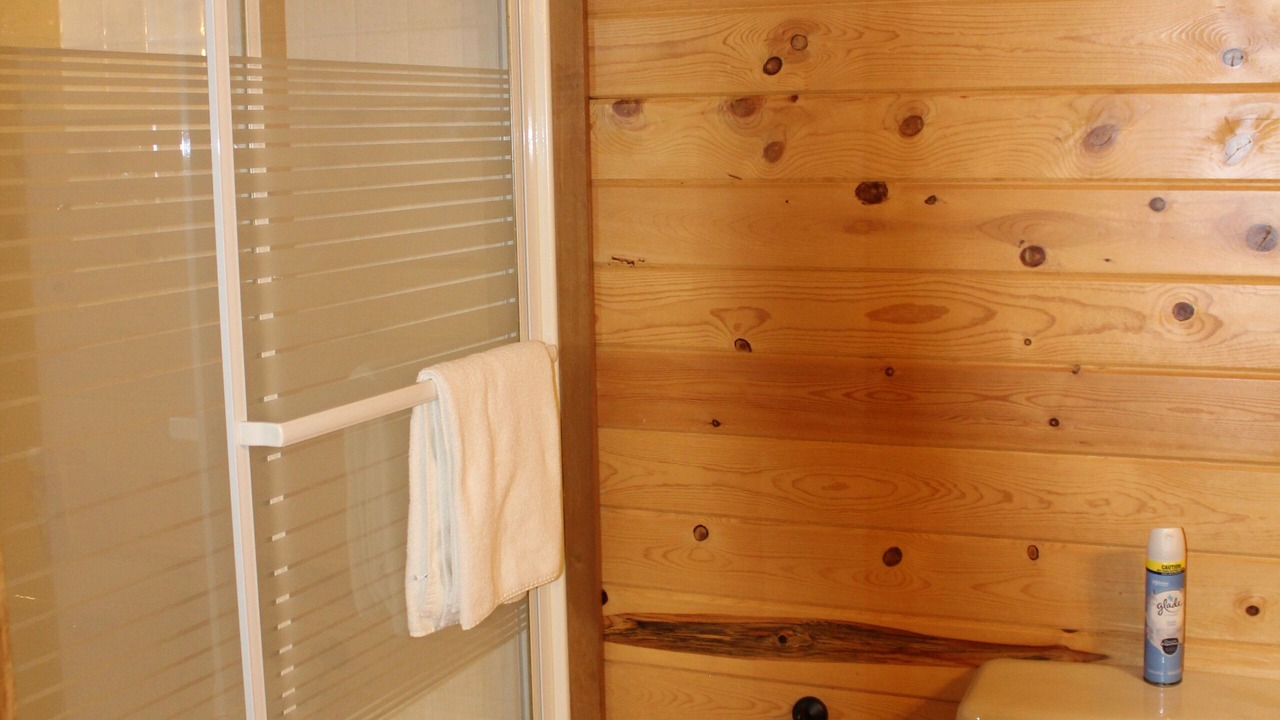 Photo of Bathroom in Lee's Summit