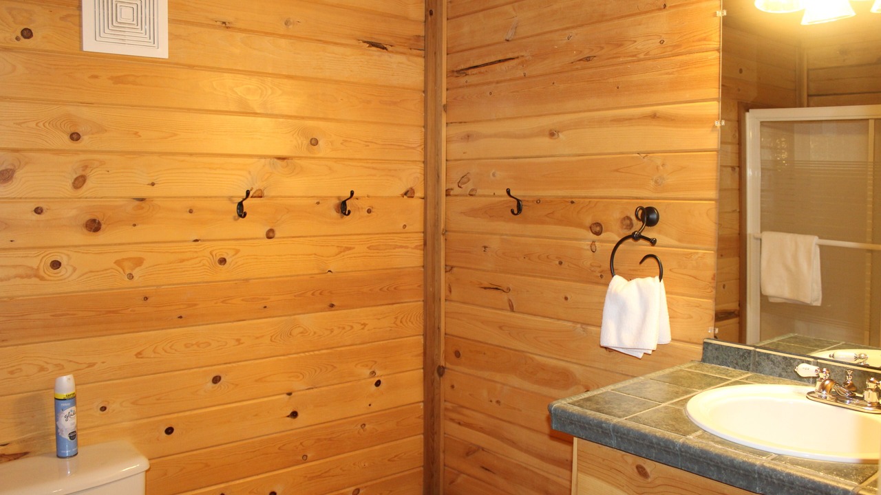 Photo of Bathroom in Lee's Summit