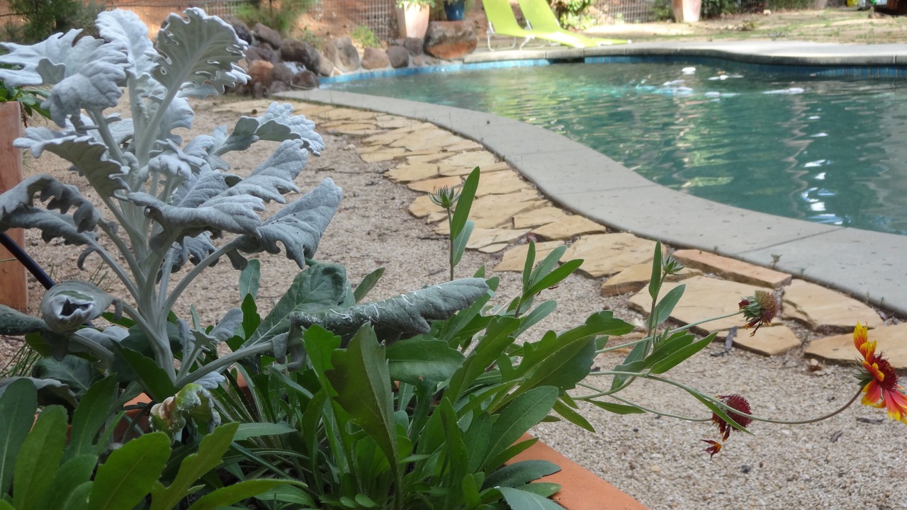 Photo of Outdoor in Foresthill