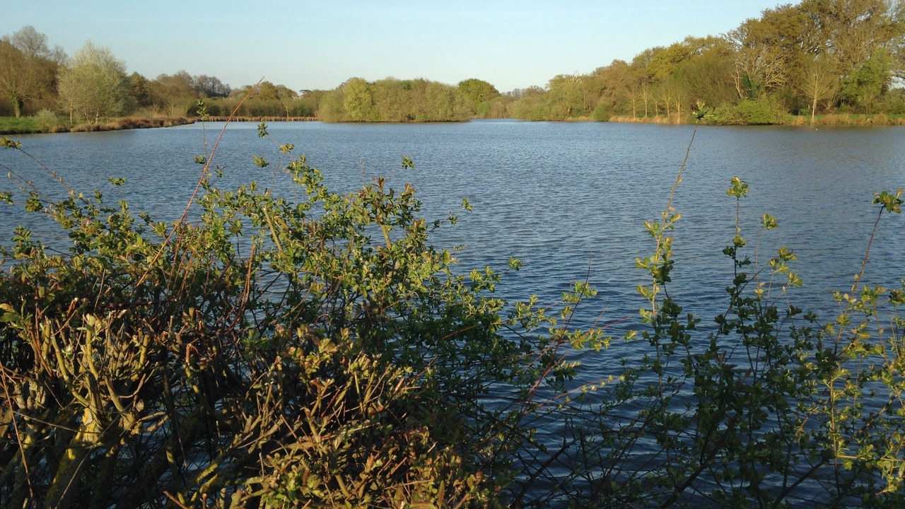 Photo of Outdoor in Freigne