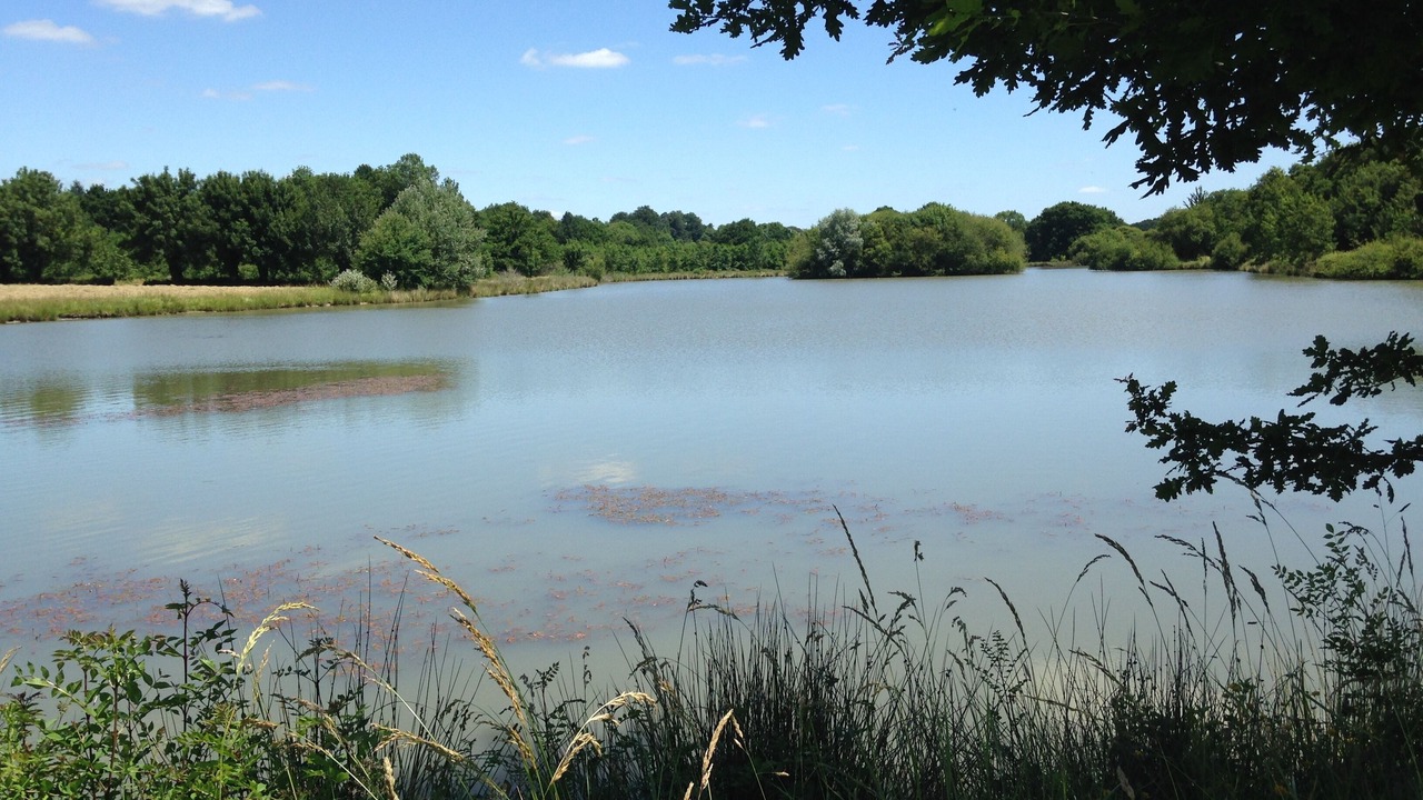 Photo of Outdoor in Freigne
