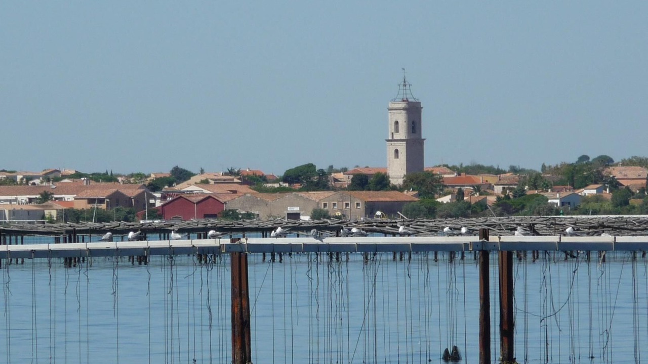 Photo of Others in Fabregues