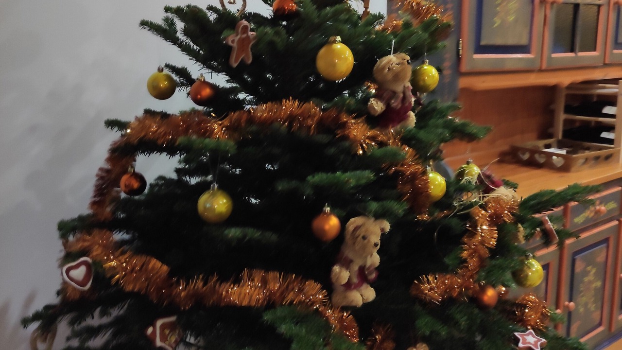 Photo of Others in Ungersheim