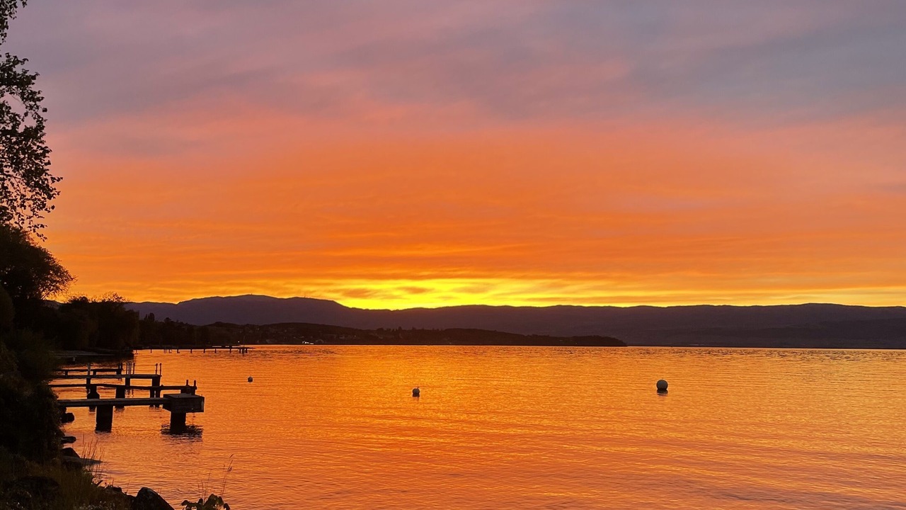 Photo of Others in Sciez