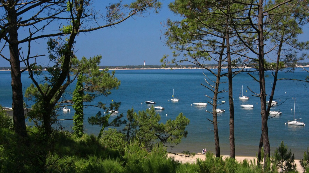 Photo of Others in Arcachon