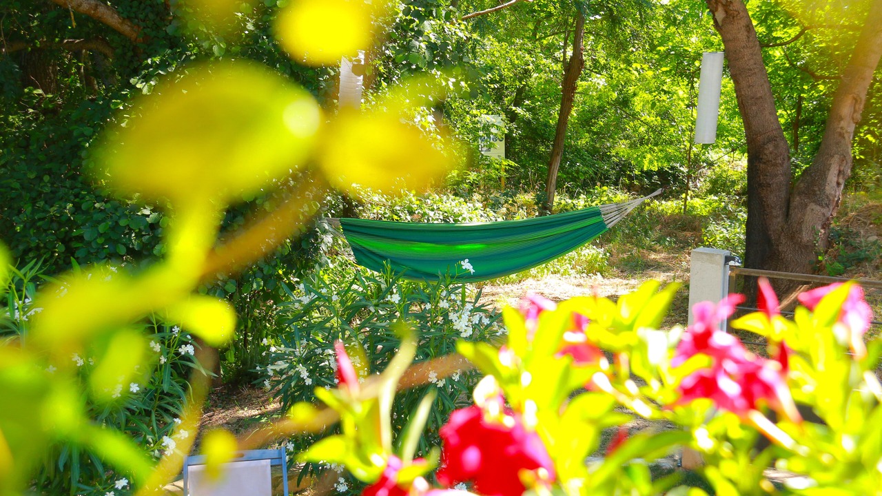 Photo of Outdoor in Montolieu