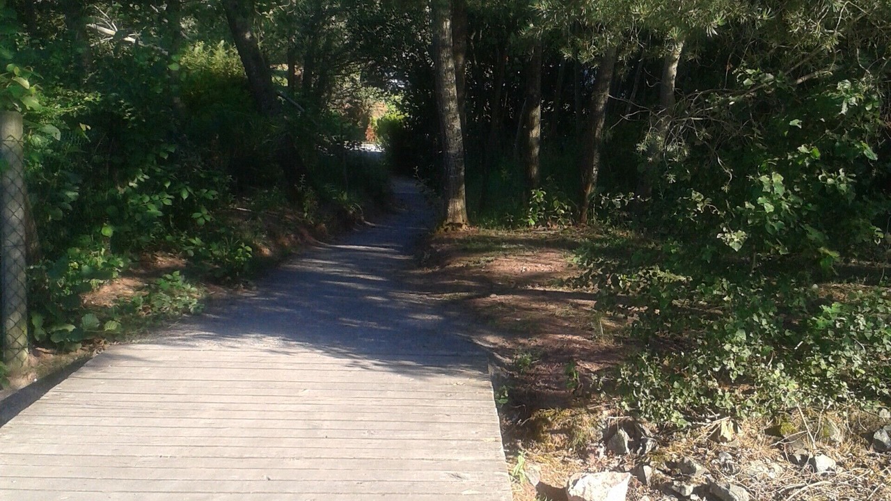 Photo of Outdoor in Celles-sur-Plaine