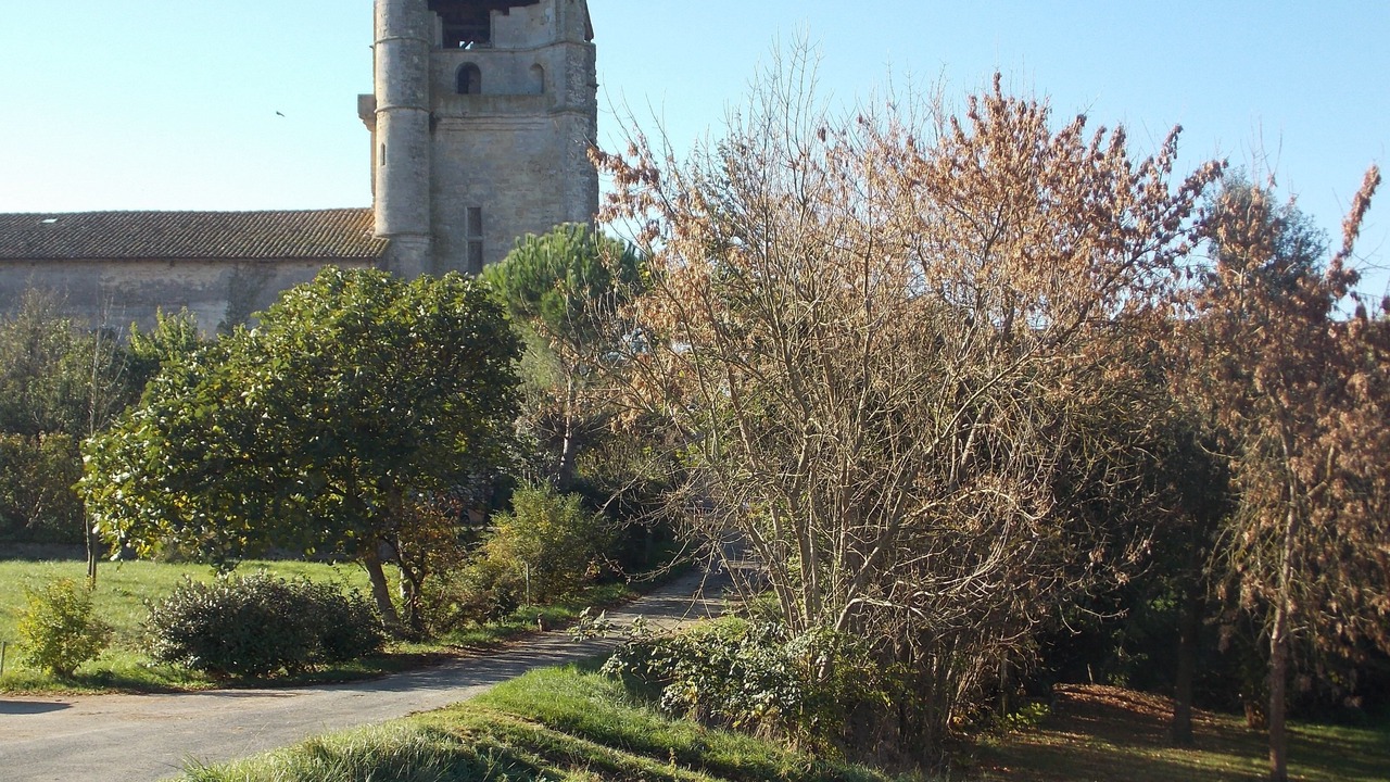 Photo of Outdoor in Belcastel