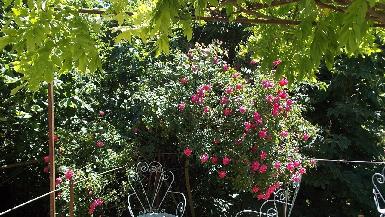 Photo of Patio Balcony in Belcastel