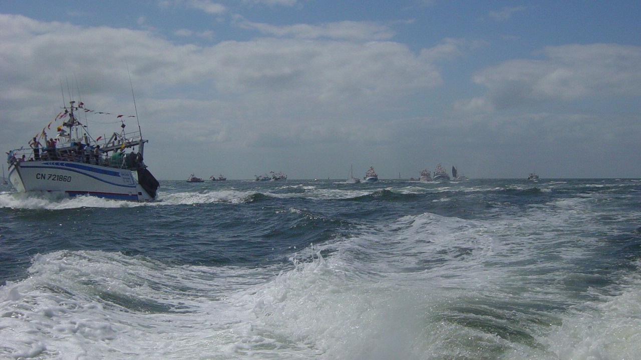 Photo of Others in Trouville-sur-Mer