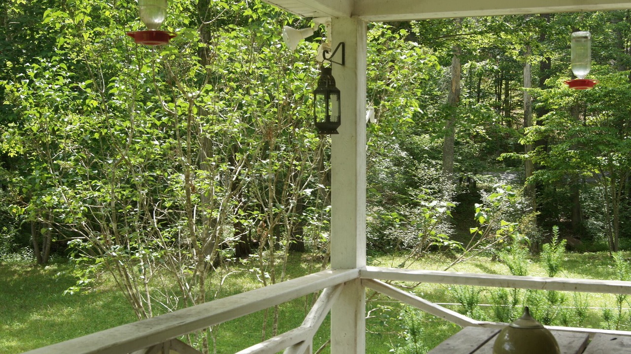 Photo of Outdoor in Millboro Springs