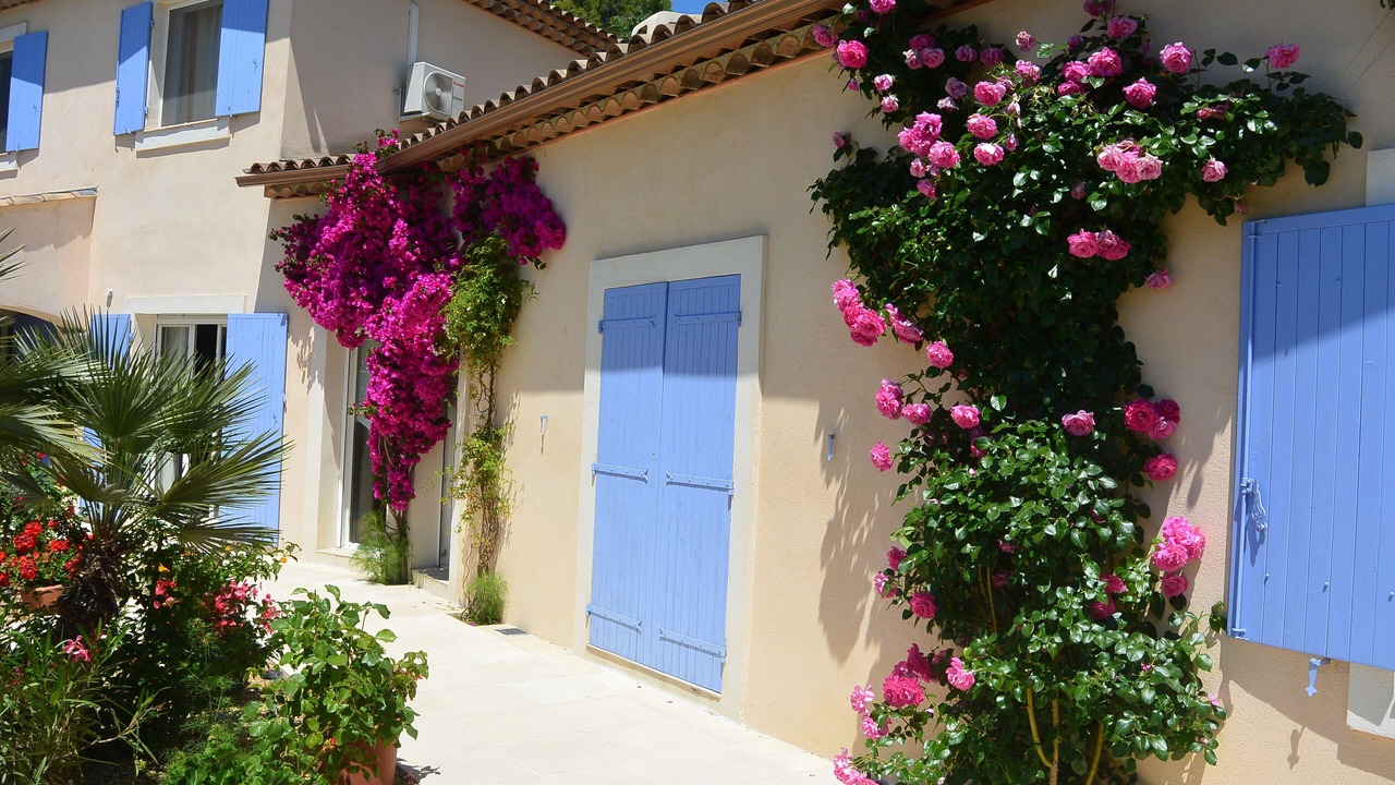 Photo of Outdoor in Callian