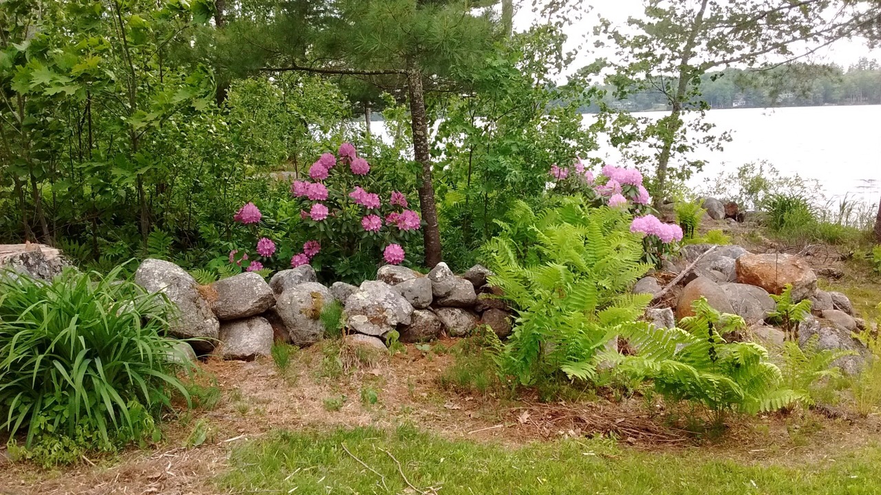 Photo of Others in Hope