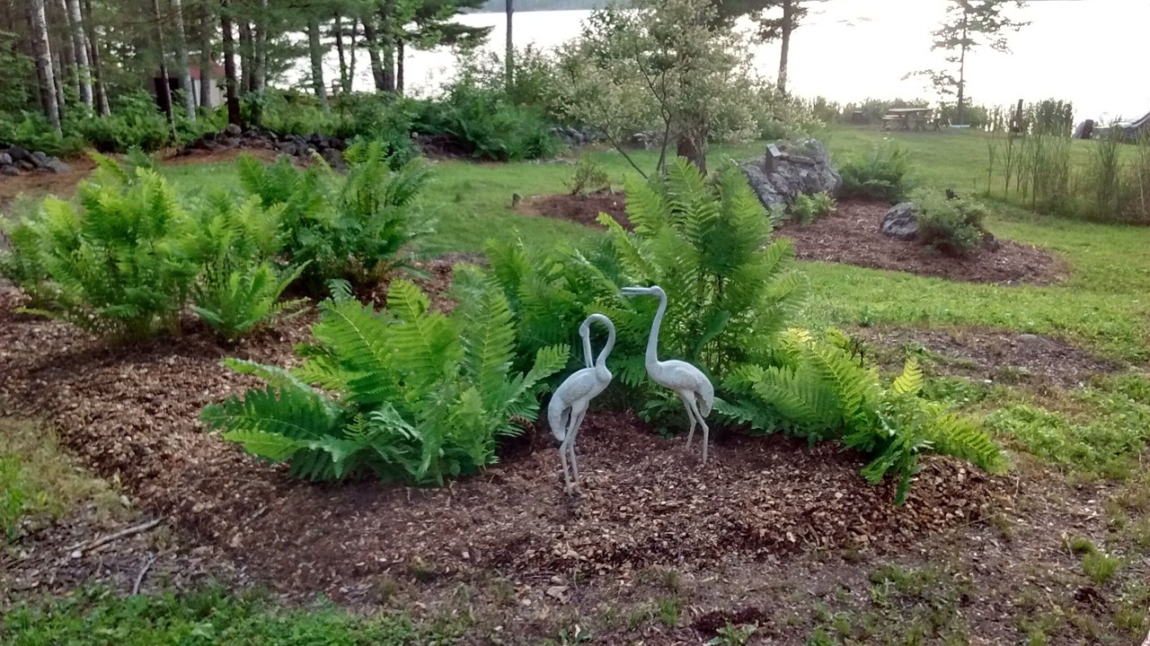 Photo of Outdoor in Hope