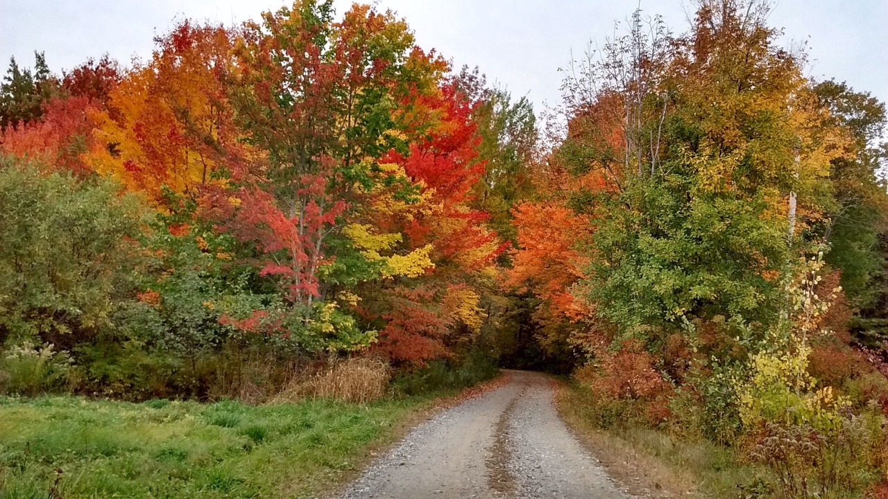 Photo of Others in Hope