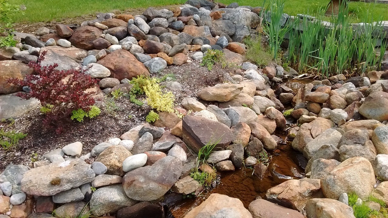 Photo of Others in Hope