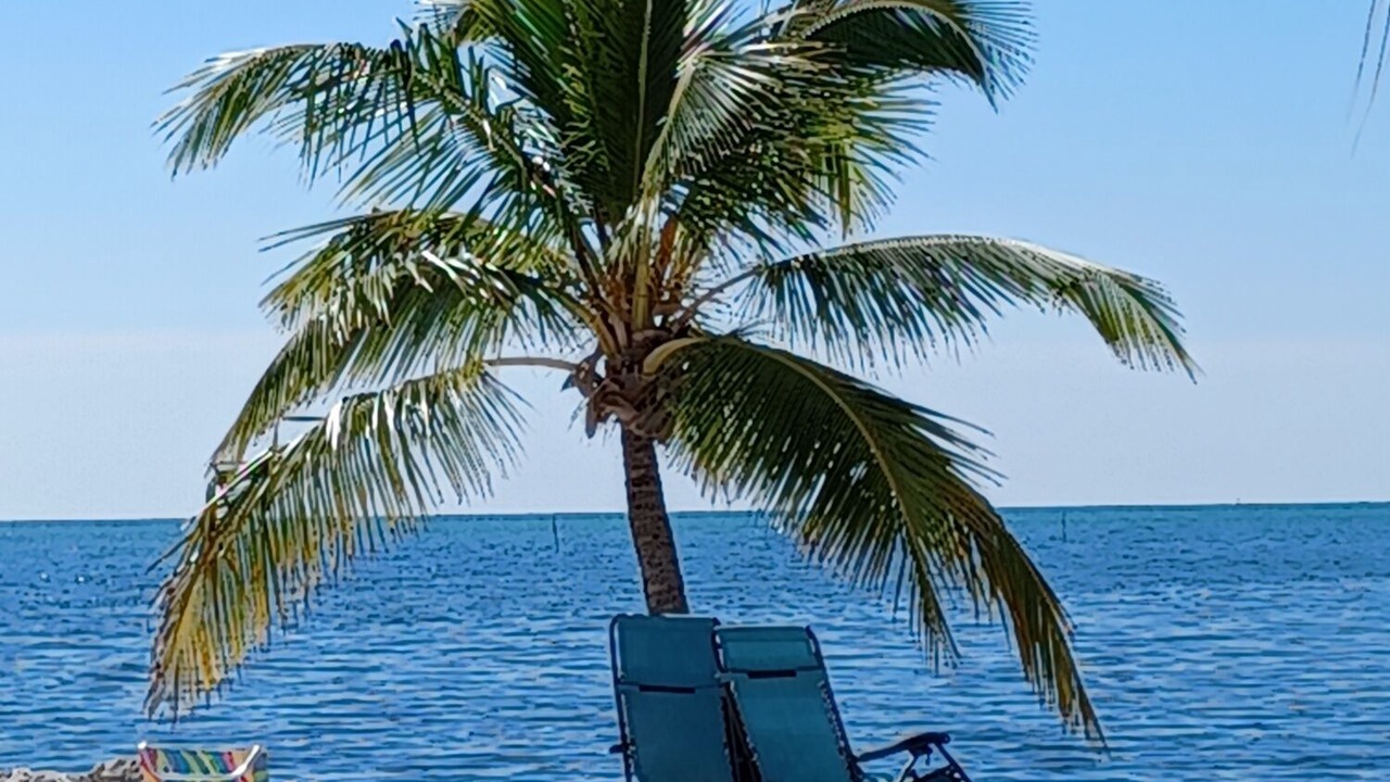 Photo of Others in Tavernier