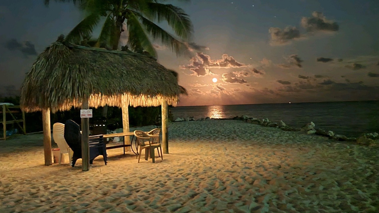 Photo of Others in Tavernier
