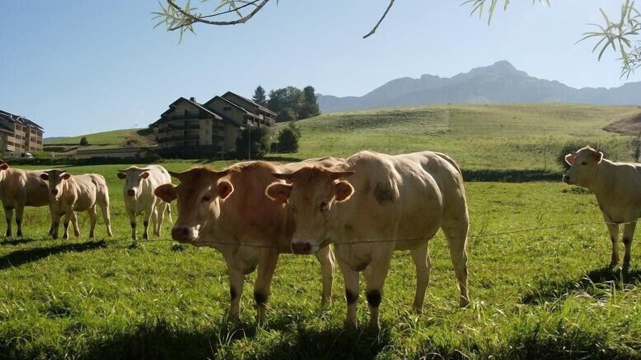 Photo of Outdoor in Villard-de-Lans